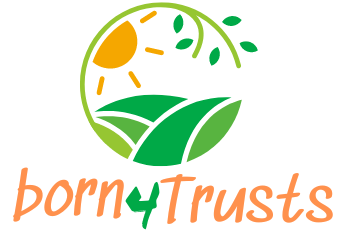 born4trusts.com